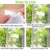 Kensizer 30-Pack Window Fly Traps - Eco-Friendly Indoor Insect Catcher