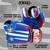 YOKKAO Muay Thai Redgammon Boxing Gloves - Blue - 18oz