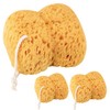 3 Bath Sponges, Natural Sea Water Sponge Wash Sponges for