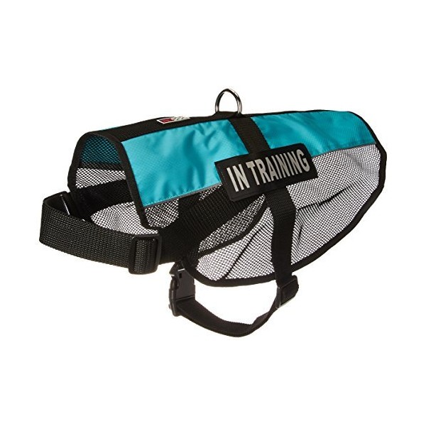 Dogline 30"-38" MaxAire Mesh Vest for Dogs and 2 Removable in Training Patches, X-Large, Turquoise