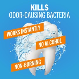 TheraBreath Fresh Breath Mouthwash, Icy Mint Flavor, Alcohol-Free, 16 Fl Oz (Pack of 2)