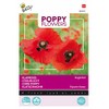 Buzzy Poppy Flowers, Poppy Red