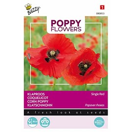 Buzzy Poppy Flowers, Poppy Red
