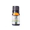100% Pure Fennel Sweet Essential Oil || Hungary - 5ml