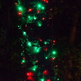 Wintergreen Lighting SoftTwinkle Slow Twinkling Christmas Lights, Soft Twinkle String Lights Pulsing Christmas Lights (50 Lights, 17 Ft, Red/Green)