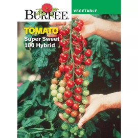 Burpee Super Sweet 100 Hybrid Tomato Vegetable Seed Full Sun Seeds Packet Cherry