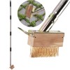 Weed Remover Manual Crevice Weeding Brush Long Handle, Crack Weeder,