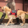 MOOGROU Service Dog Vest Harness and Leash Set+10 Patches,No Pull&Adjustable