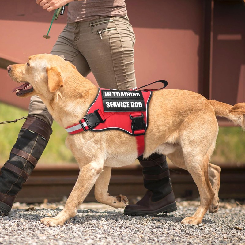 MOOGROU Service Dog Vest Harness and Leash Set+10 Patches,No Pull&Adjustable