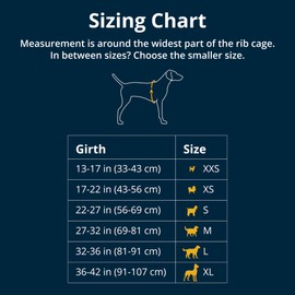 Ruffwear Flagline Dog Harness with Handle, Lightweight Adjustable Walking Harness, 3 Lead Attachment Points, Reinforced Webbing and Strong Metal V-Ring, Lichen Green (Medium, 69-81 cm)