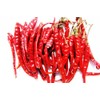Thai Whole Dried Chile Peppers Very Hot 100g. (Seed Jinda)