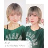 AQUADOLL wg356A2 Wig, Bob, Outside Flap, Side Bang, Inner Color,