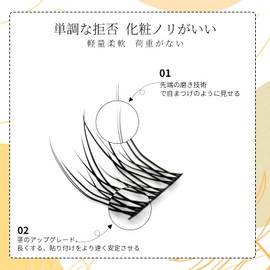 LASHIDOL False Eyelashes, Partial False Eyelashes, Self Eyelashes, Natural, Popular, DIY, Reusable, Around the Eyes, Handmade, Premium Fiber, Natural (No. 09 Daily)