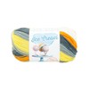 Lion Brand Yarn Ice Cream Yarn, 1 Pack, Tiger Tail