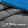 Bare Home Reversible Bed-in-A-Bag Comforter & Sheet Set - Twin