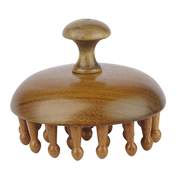 FRCOLOR Wood Scalp Massage Comb Handheld Hair Massager Scalp Head