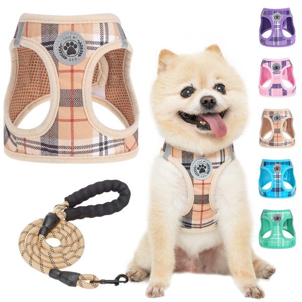 BEAUTYZOO Small Dog Harness and Leash Set,Step in No Chock