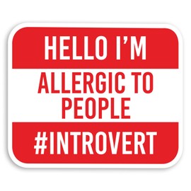 2 x 10cm Funny Introvert Quote Vinyl Stickers - Joke Teen Laptop Sticker #29134