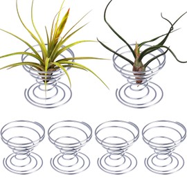 Shappy 6 Pieces Air Plant Holder Air Plant Live Holders Outdoor Stainless Steel Tillandsia Base Container Display Rack for Tropical Home Desktop Office Decoration Supplies, Silver
