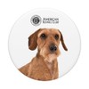 AKC Wirehaired Dachshund Photo PopSocket