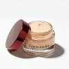 Crema Correctora Para Ojos 15 G