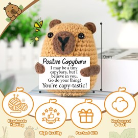 Kabwea Positive Capybara Gifts, Emotional Cheer Up Support School Graduation Gifts, Funny Gifts for Women, Capybara