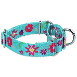 Dazzber Martingale Collar Floral Print Dog Collar - No Pull Pet Collar, Heavy Duty Adjustable Dog Collar, Large, Neck 17 Inch to 25 Inch, Sun Flower (Teal)