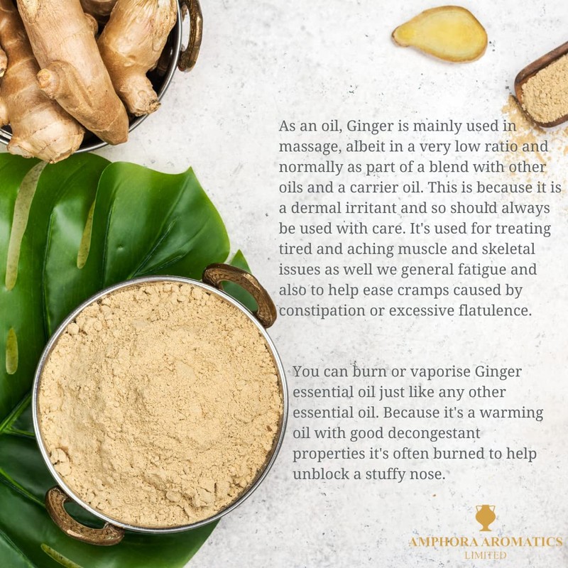 Amphora Aromatics Ginger Essential Oil 10ml