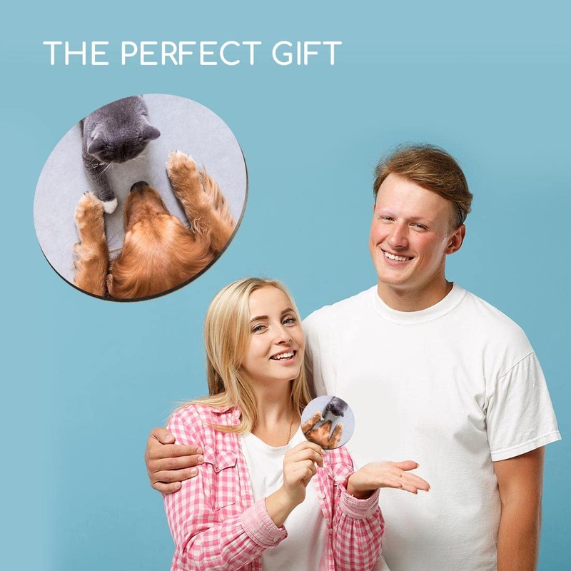 1 x Round Coaster - Labrador and British Grey Cat