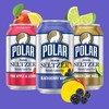 Polar Seltzer Water Newbies Variety Pack, 12 fl oz cans,