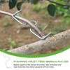 LUMOOM Pack of 20 Branch Separators for Fruit Trees, M-Shaped