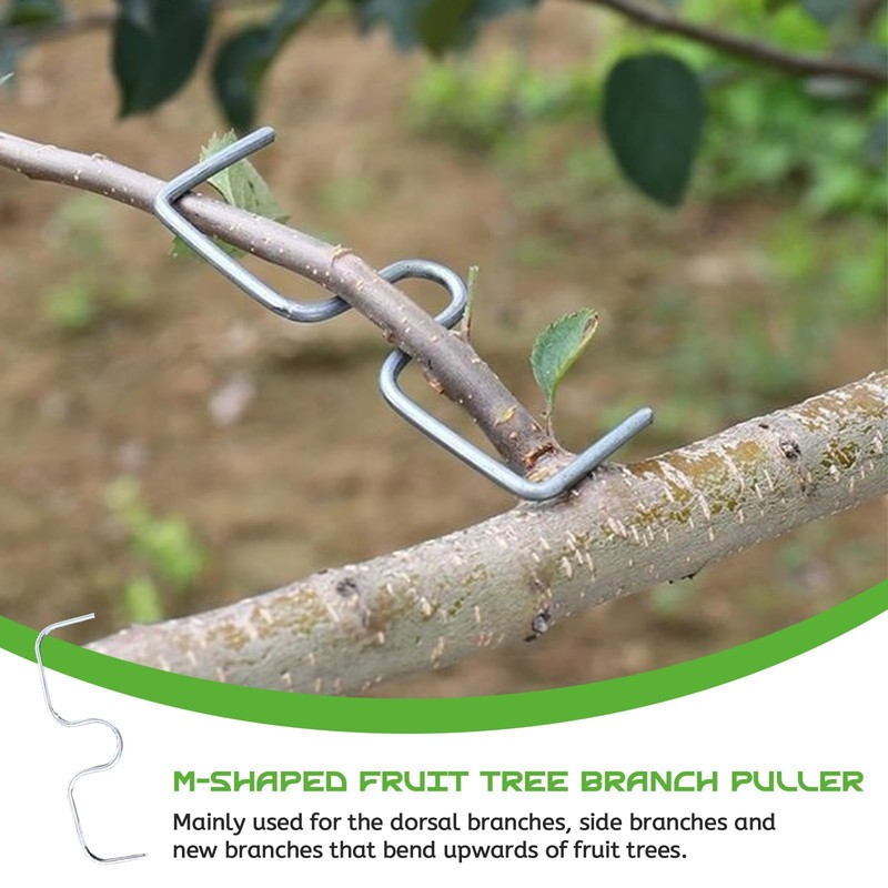 LUMOOM Pack of 20 Branch Separators for Fruit Trees, M-Shaped