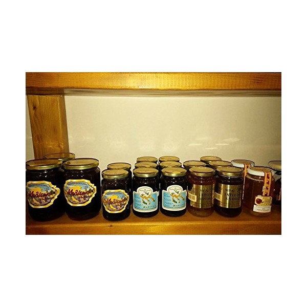 Greek Pure Forest Honey Meliton 460gr 16.22oz Pure