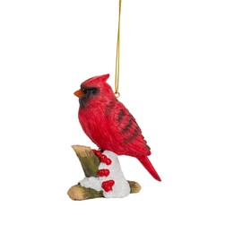Cardinal Bird Christmas Tree Memorial Ornaments