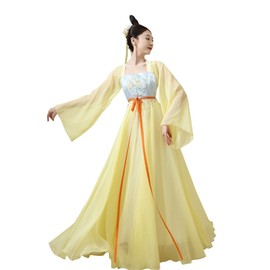 Chinese Hanfu Costume Tang Dynasty for Women Classical Dance Costume Dance Skirts Embroidery Top Chinese Style Clothes Yellow