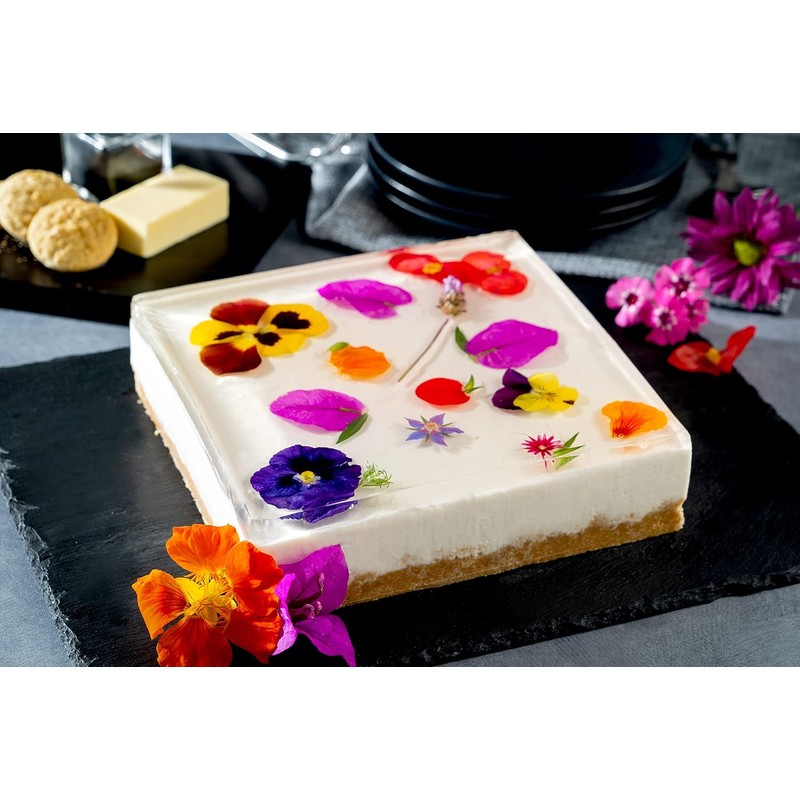 D'Gari Grenetina en polvo sin sabor Bloom 290 1 kg