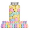 Make Up Sponge Set: 40 Pieces Beauty Blender Mini with