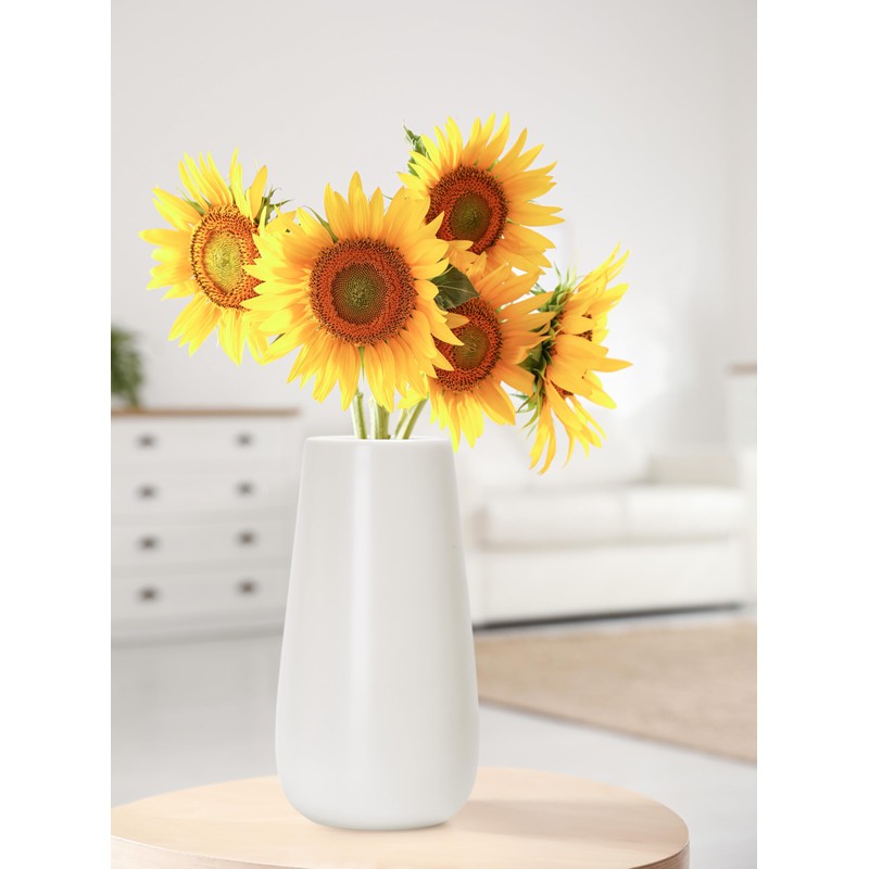 D'vine Dev 8 Inch White Elegant Oval Ceramic Vase for