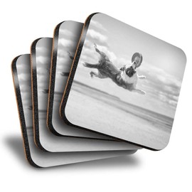 Destination Vinyl ltd Great Coasters (Set of 4) Square - BW - Border Collie Frisbee Beach Drink Glossy Coasters/Tabletop Protection for Any Table Type #36469