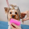 Ymapinc 6Pcs Double Sided Fine Tooth Lice Comb, Flea Tick