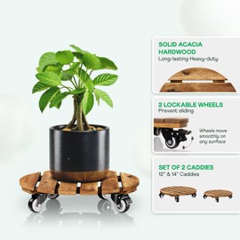 Idzo Combo 12 Inch and 14 Inch Acacia Wood Rolling Round Planter Caddies for Plant Pots, Heavy Duty Plant Stand with 360° Lockable Wheels, 264 lbs Capacity Caddy for Indoor and Outdoor Use, Golden Teak