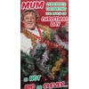 Mrs Browns Boys MBX05 Mum Christmas Card