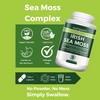 Sea Moss Capsules with Bladderwrack & Burdock Root High Strength
