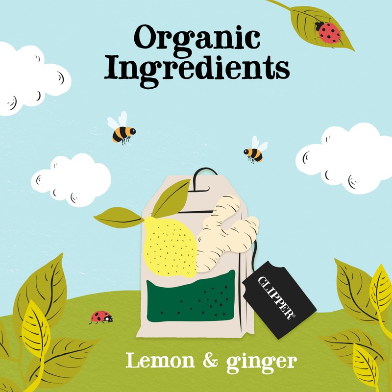 Clipper Lemon & Ginger Tea 20 Bags