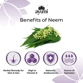 Ayumi Neem & Tea Tree Body Lotion | Oil Control Moisturiser for Oily Skin | Acne Cream with Witch Hazel | Nettle Leaf Hand Cream to Soothe Irritation | Body Moisturiser for Men & Women | 250ml