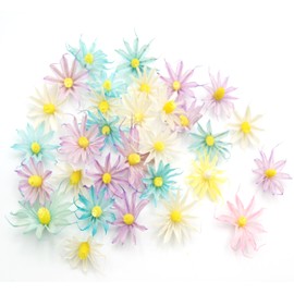 JOJAZE 30Pcs Real Natural Star Anise Dried Flowers Heads Bulk Multicolor Dried Flower Heads for Crafts for Wedding Decor Baby Shower Home Party Decoration and DIY Dry Flower Arrangements