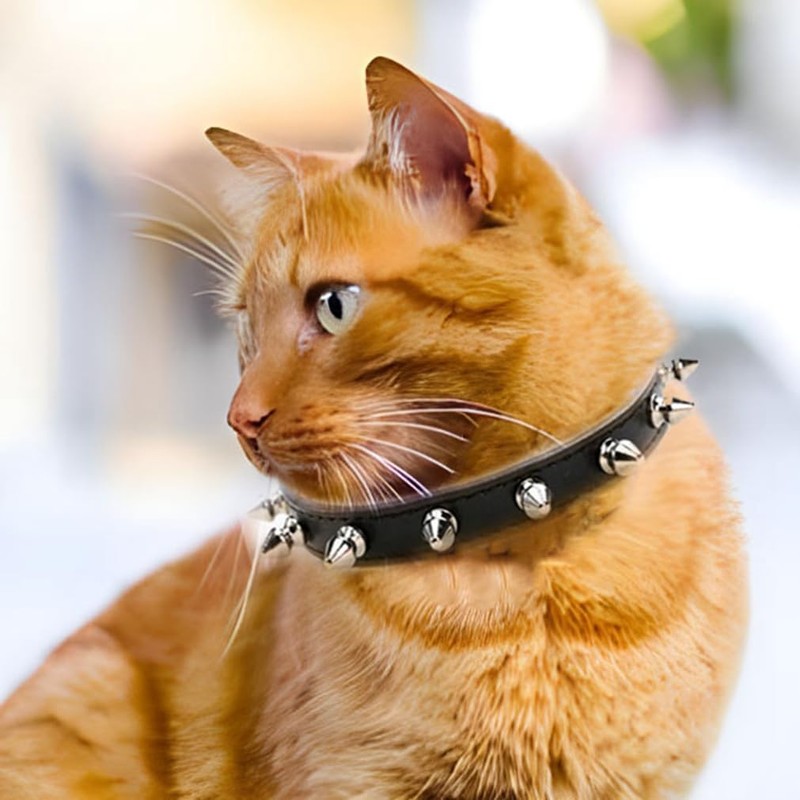 Small Spiked Dog Collar, Spiky Studded Stud Rivet Pu Leather