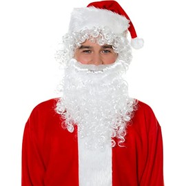 Palamon Santa Claus Classic Wig And Beard Set Costume Accessory