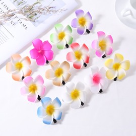 Frcolor Flower Hairpin Plumeria Flower Hair Accessories Hair Clip Hawaii Hair Ornament Headdress 2.4 inches (6 cm) 12 Colors Set of 24