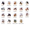 Horse Heads Equine Equestrian DECORATIVE Drawer Pulls Dresser KNOBS